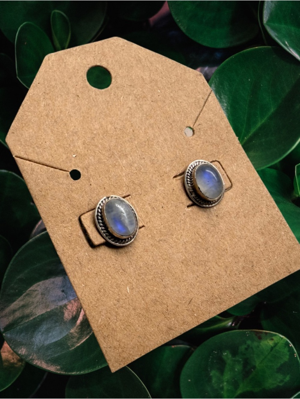 Sterling Silver Moonstone Oval Stud Earrings | Rope Bezel | 925 Signed | New